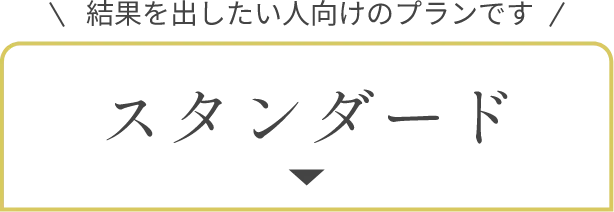 スタンダード