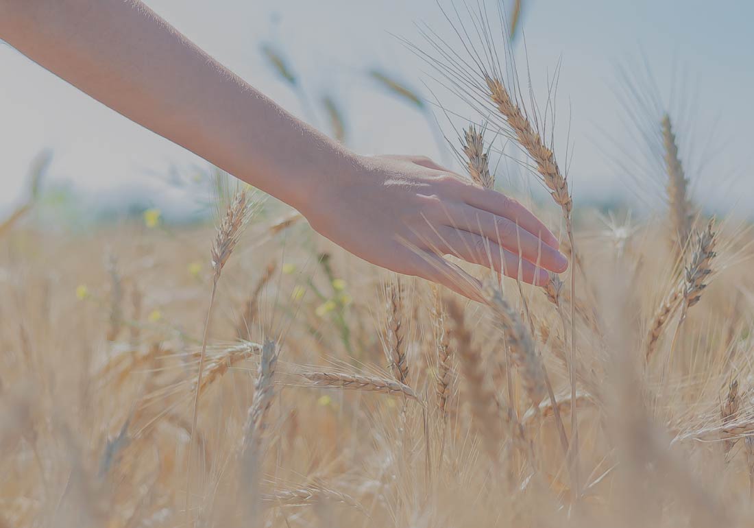 Company 会社案内